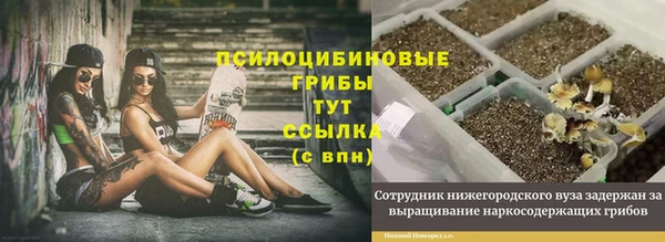 гашик Нефтегорск